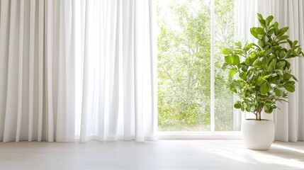 Sunlight streams through sheer curtains in a bright room with a potted plant