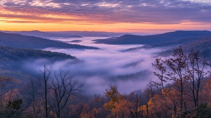 Fototapeta premium Misty mountain landscape with fog-covered peaks, surrounded by tranquil natural beauty at sunrise, capturing the serene essence of the mountains during the first light of day.