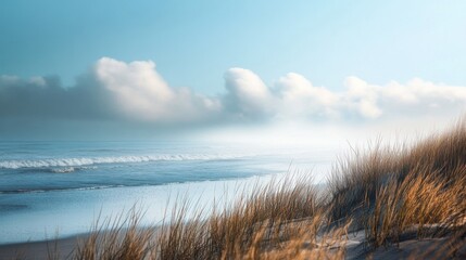A calm ocean scene with golden grasses and cloudy sky