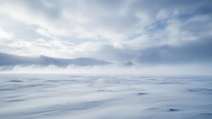 Obraz premium The Song of Silence on the Snowfield