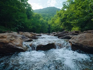 Fleecedeken met foto A clear stream flows over rocks in a lush green forest. © Balaraw