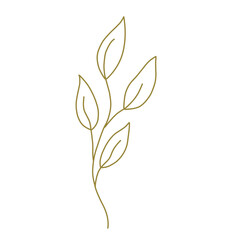 black and white flower leaf