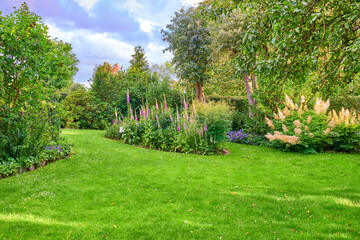 Natural, flowers and scenery in garden, outdoor and blossom of greenery in environment and floral. Growth, petals and color of plants in woods, sustainability and eco friendly in location or spring