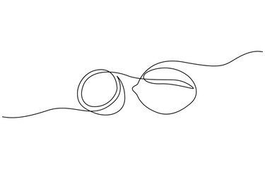 Lemon vector illustration. One continuous line drawing art illustration, Continuous one line yellow lemon halves isolated on white background. Simple citrus silhouette.
