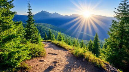 Obraz premium Mountain path at sunrise, sun rays, evergreen forest, scenic view