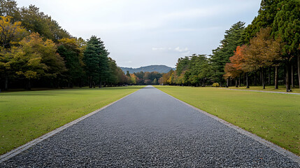 Fototapeta premium Perspective View Of An Avenue Path With Green Grass And Trees On A Sunny Day