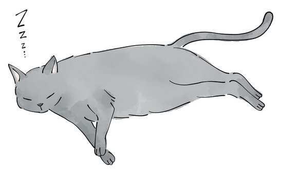 ロシアンブルー」の写真素材 | 1,817件の無料イラスト画像 | Adobe Stock 