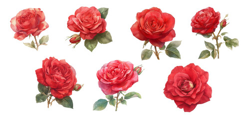 Bundled Collection of red flower paintings, colorful bouquets.