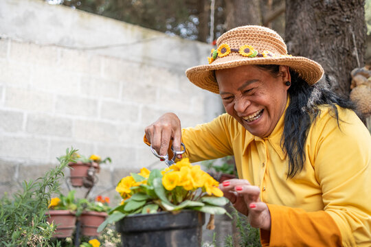 60 year old Mexican woman enjoying taking care of her garden