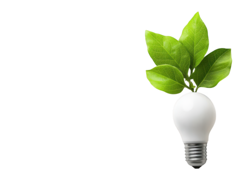 Illuminating sustainability, plant growing inside a light bulb symbolizing green energy and ecoconscious innovation
