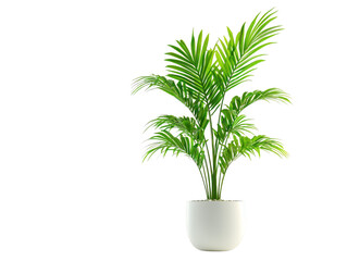 Lush green plant in a pot, enhance your home decor with natural beauty green