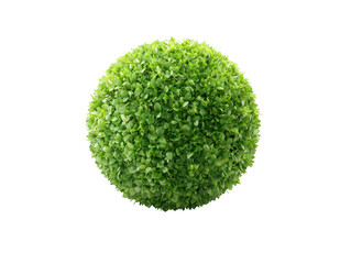Lush green sphere of leaves on a dark background, study in natural textures and forms