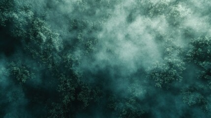 Fototapeta premium Enchanted Forest: An Aerial View of Misty Woods
