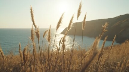 Soft Flora Swaying in a Sunny Breeze