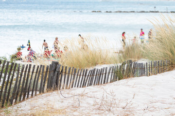 Sand fence to avoid erosion in Calvi Corsica at the mediterranean sea