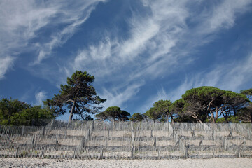 Sand fence to avoid erosion in Calvi Corsica at the mediterranean sea