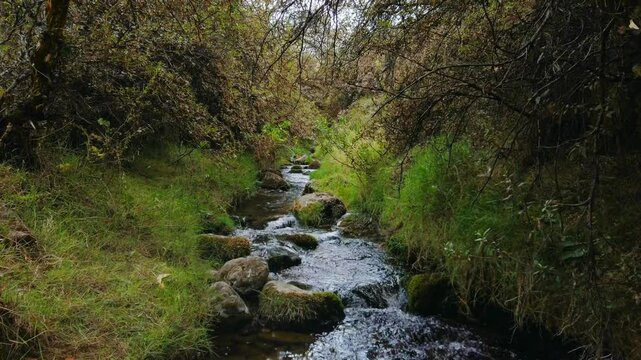 Gently flowing freshwater river surrounded by Andean vegetation near Cusco, on the Puka Pukara to Inkilltambo trek, Peru