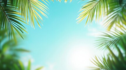 Fototapeta premium sky background with tropical leaves