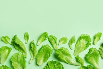 Lettuce leaves on green background