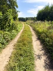Obraz premium A dirt road with a few trees in the background