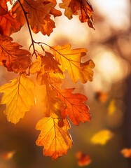 Obraz premium Close-up autumn leaves falling: warm bokeh, orange & gold hues. Gentle fall, serene.