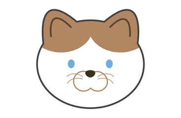 ハチワレ模様の猫の顔