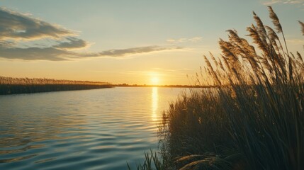 Tranquil Waterway During Golden Hour
