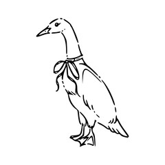 black and white sketch of a duck with ribbon
