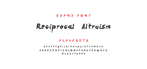 Brush Font. Hand Lettering Sketch Font. Vector Alphabet
