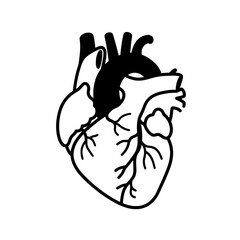 Anatomical Heart Illustration: A bold black and white illustration of a human heart, capturing its intricate structure and symbolizing life, health, and the essence of existence.