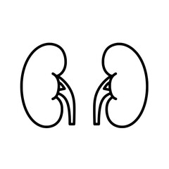 Human Kidney Illustration: An informative illustration showcasing the essential human kidney. It's a minimalist outline of human anatomy, designed with medical.