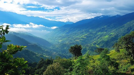 enjoying amazing mountain view nature and adventure