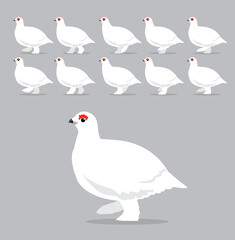 Obraz premium Animal Animation Sequence Willow Ptarmigan Cartoon Vector