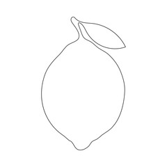 Lemon in one line art vector illustration  Minimalistic design Vector graphics.The lemon is drawn with one continuous line on a white background