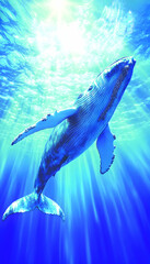 Naklejka premium Whale swimming underwater, sunbeams. Possible stock photo use