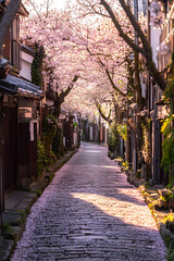 Obraz premium A picturesque cobblestone street shaded by blooming cherry blossom trees in spring.