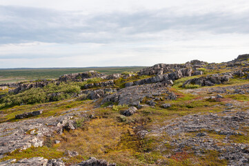 Summer tundra landscape, flat rocks in the foreground. Rybachy Peninsula, Murmansk region, Russia