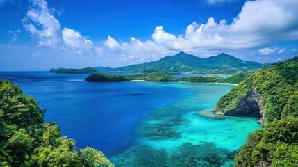 Obraz premium Enchanting underwater Okinawa, a kaleidoscope of coral gardens, serene lagoons, and electric blue waters teeming with life