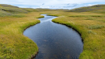 Serene River Winding Through Lush Green Meadow Landscape in Nature