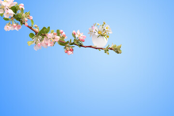 A festive Easter card with a place for your text. A sprig of a blooming apple tree and an Easter egg with spring flowers of strawberries and pears on a blue background.