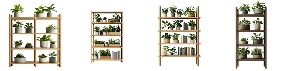 Assortment of various types of houseplants including succulents herbs and flowering plants displayed on wooden shelves in a modern minimalist interior design setting
