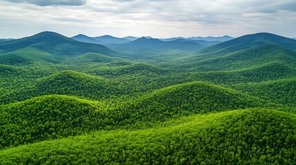 Naklejka premium Verdant Mountain Range Panorama