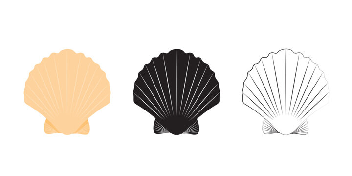 Scallop seashell logo. Isolated silhouette and contour drawing of a scallop on a white background. Vector