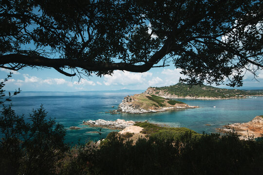 Scenic Coastal Peninsula Framed by Trees