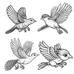 High-Quality Cute Cartoonic Tinamou Flying Pose Outline Vector Illustrations