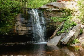 Obraz premium Scenic View of waterfall in forest