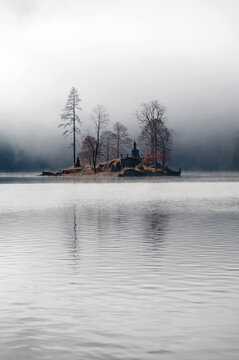 Landscape with morning fog in the forest lake