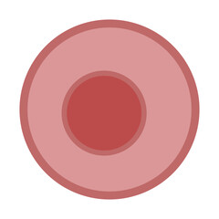 Primordial germ cell colored icon