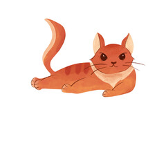 Orange cat illustration