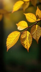 Obraz premium Shiny yellow leaf gold foil details on a tree branch , foliage, branch, outdoors